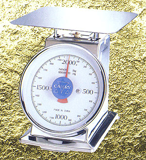 Dial Spring Scale